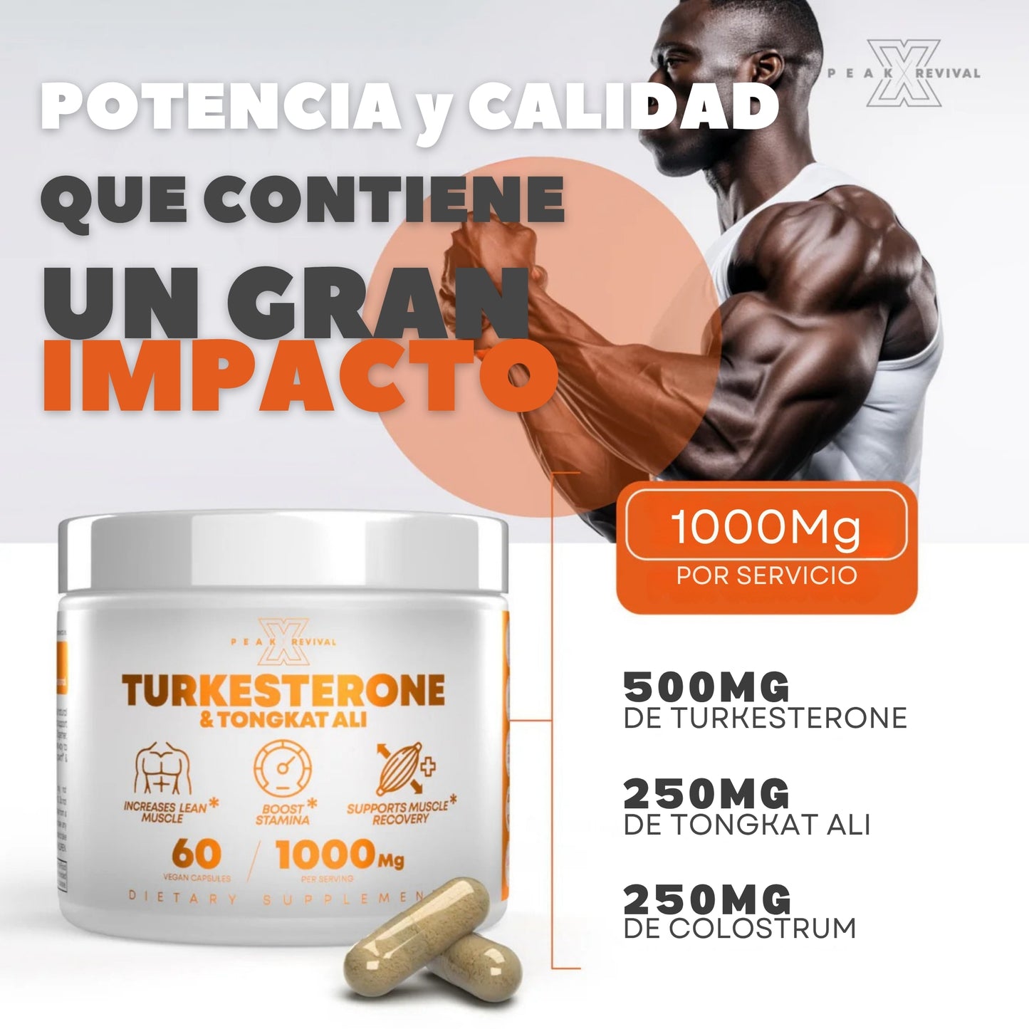 TURKESTERONA & TONGKAT ALI: Potenciador natural de la Testosterona